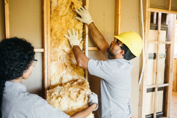 Garage Insulation Installation in Chester, SC